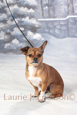 IMG_7774