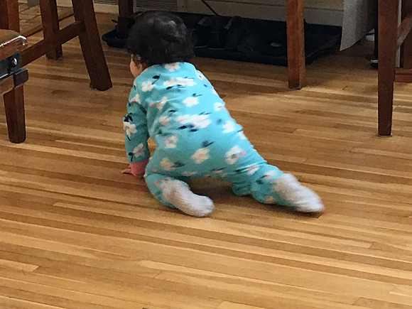 2018-02-03 13.29.27