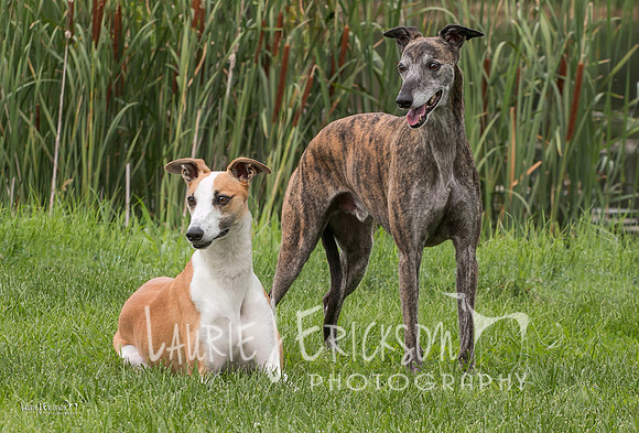 IMG-0971