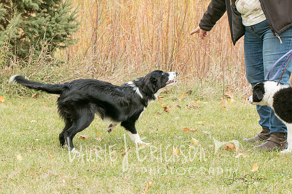IMG-0221