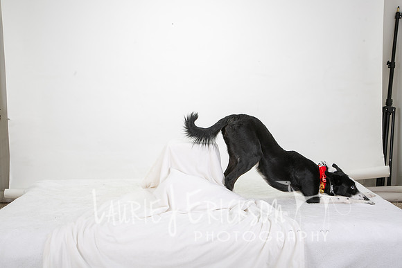 IMG_2211