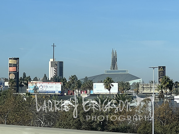 IMG_8715 3
