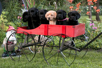 IMG-1450
