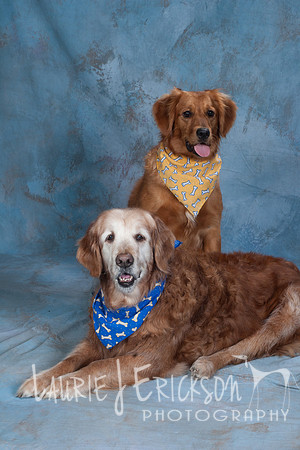 IMG-8501