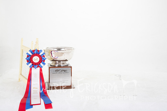 IMG_2523