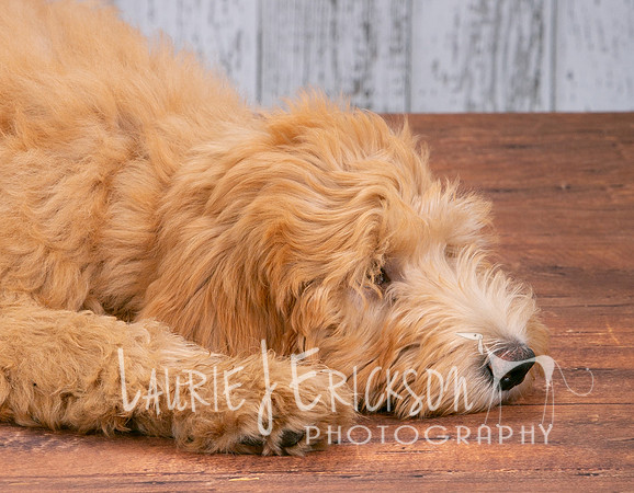 IMG_5555