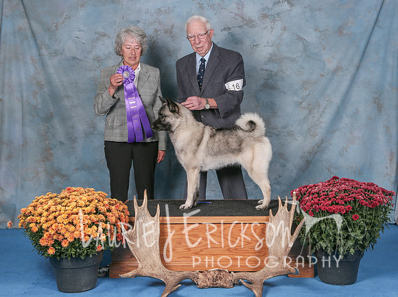 IMG_6808