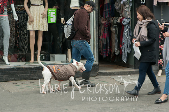 IMG-3952