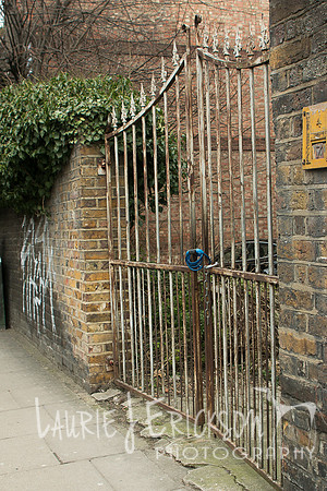 IMG-3958