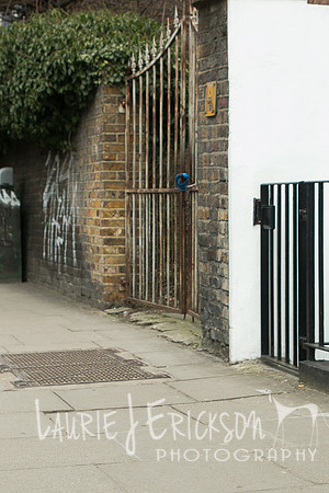 IMG-3959
