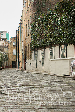 IMG-3970