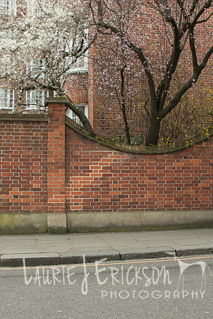 IMG-3983