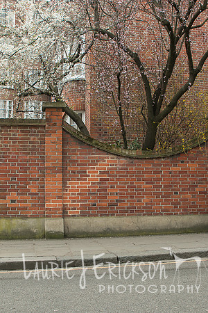 IMG-3984
