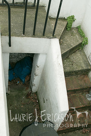 IMG-4004
