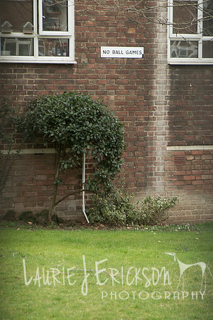 IMG-4011