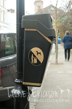 IMG-4014