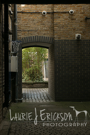 IMG-4071