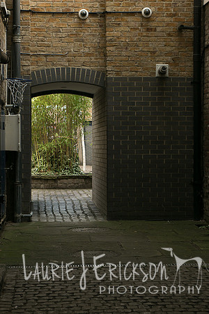 IMG-4072