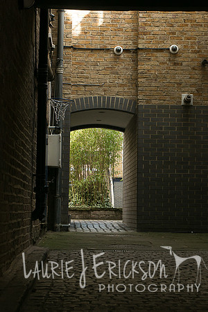 IMG-4073