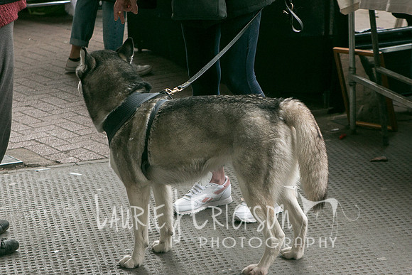 IMG-4094