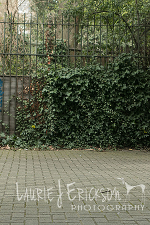 IMG-4129