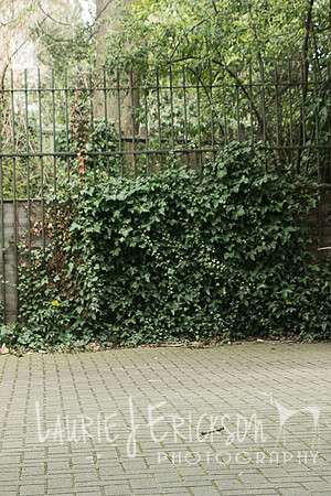 IMG-4130