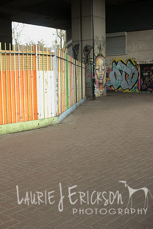 IMG-4139