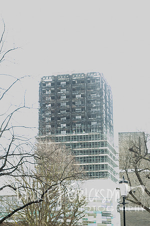 IMG-4146