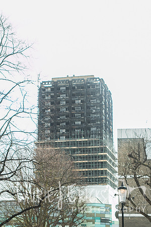 IMG-4148