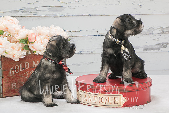 IMG-6165