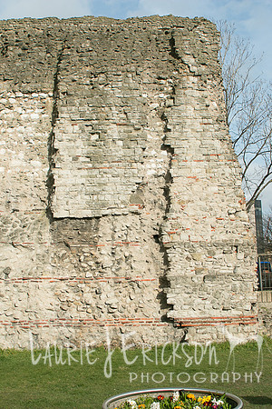 IMG-4206