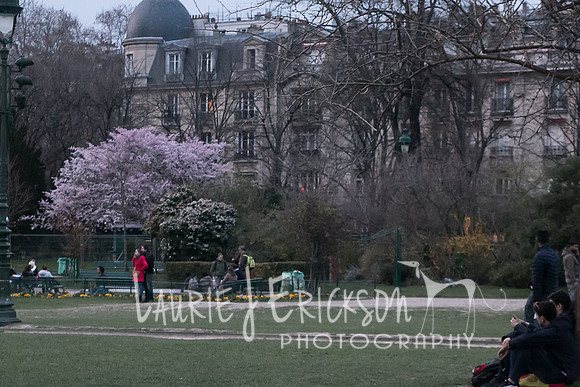 IMG-5620