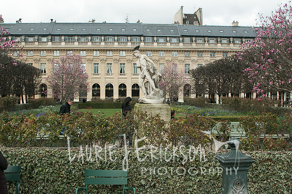 IMG-5681