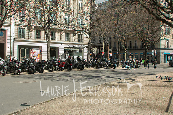 IMG-5736
