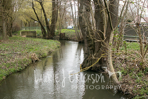 IMG-5812