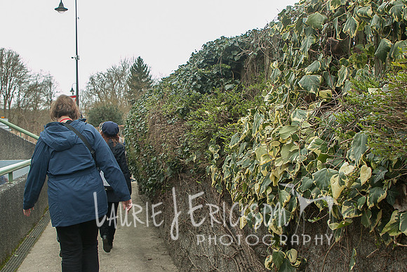 IMG-5816