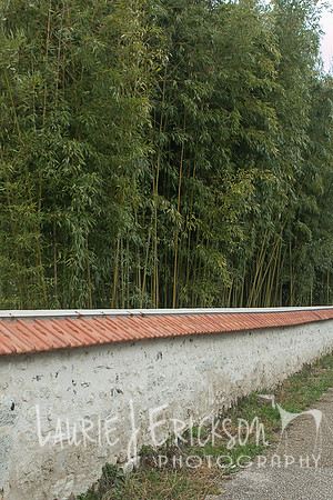IMG-5832