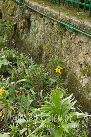 IMG-5843