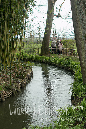 IMG-5874