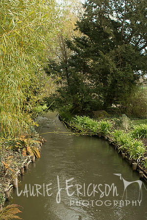 IMG-5884