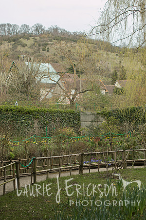 IMG-5887