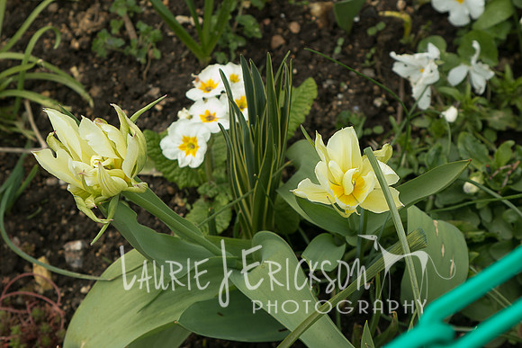 IMG-5955