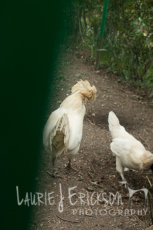 IMG-5981