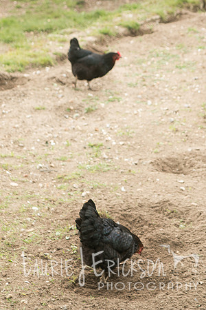 IMG-5997