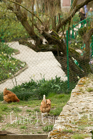 IMG-6005