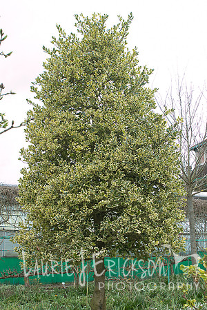 IMG-6028