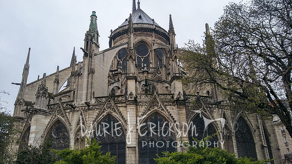 20180327_141624_HDR