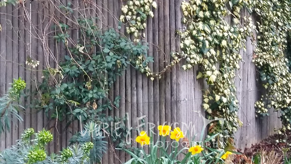 20180327_141738_HDR