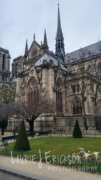 20180327_142118_HDR