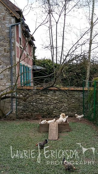 20180329_150301_HDR